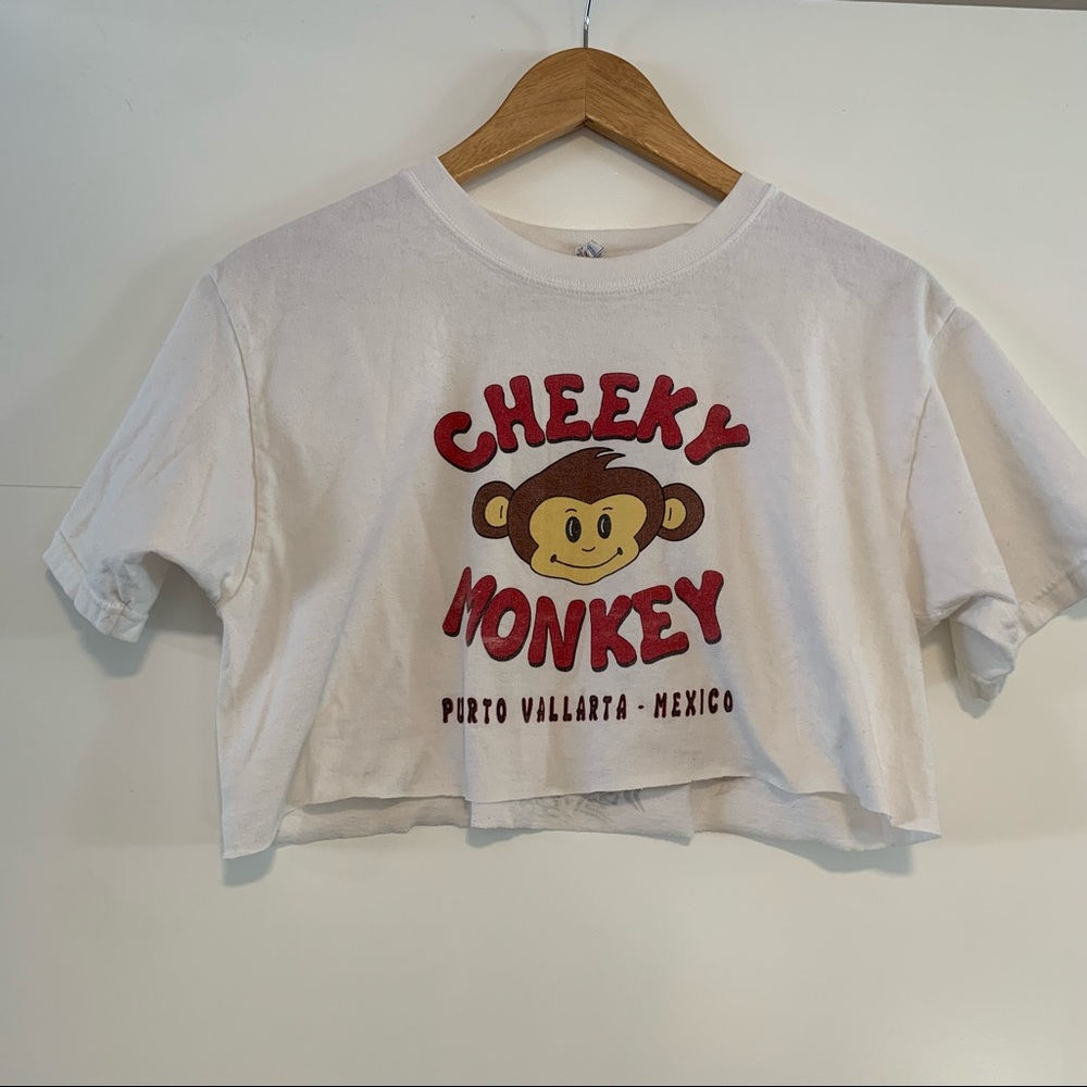 Cheeky Monkey Graphic Cropped Tee Shirt